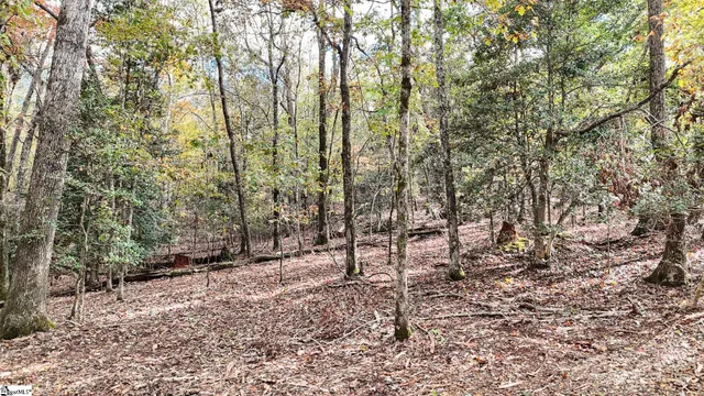 $400,000 | 890 Old Hundred Road, Pelzer, SC 29669
