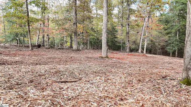 $400,000 | 890 Old Hundred Road, Pelzer, SC 29669