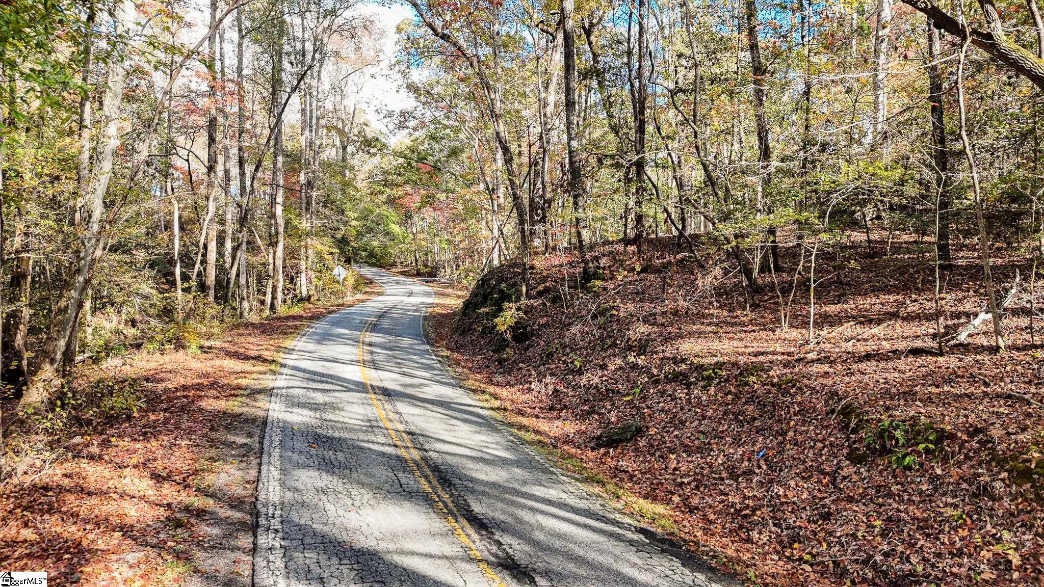 890 Old Hundred Road Pelzer, SC 29669 - Photo 4 of 23 Gallery Image 4