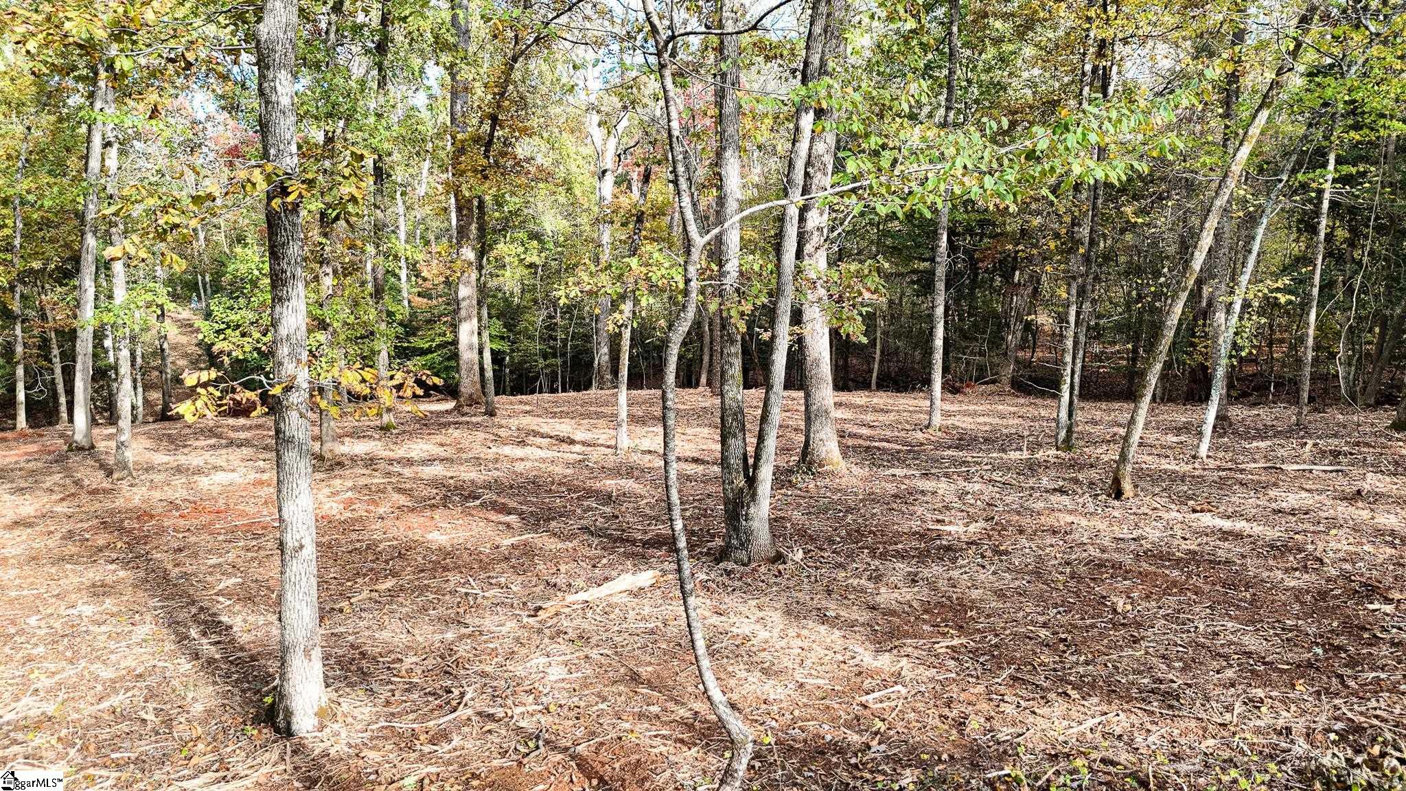 890 Old Hundred Road Pelzer, SC 29669 - Photo 5 of 23 Gallery Image 5