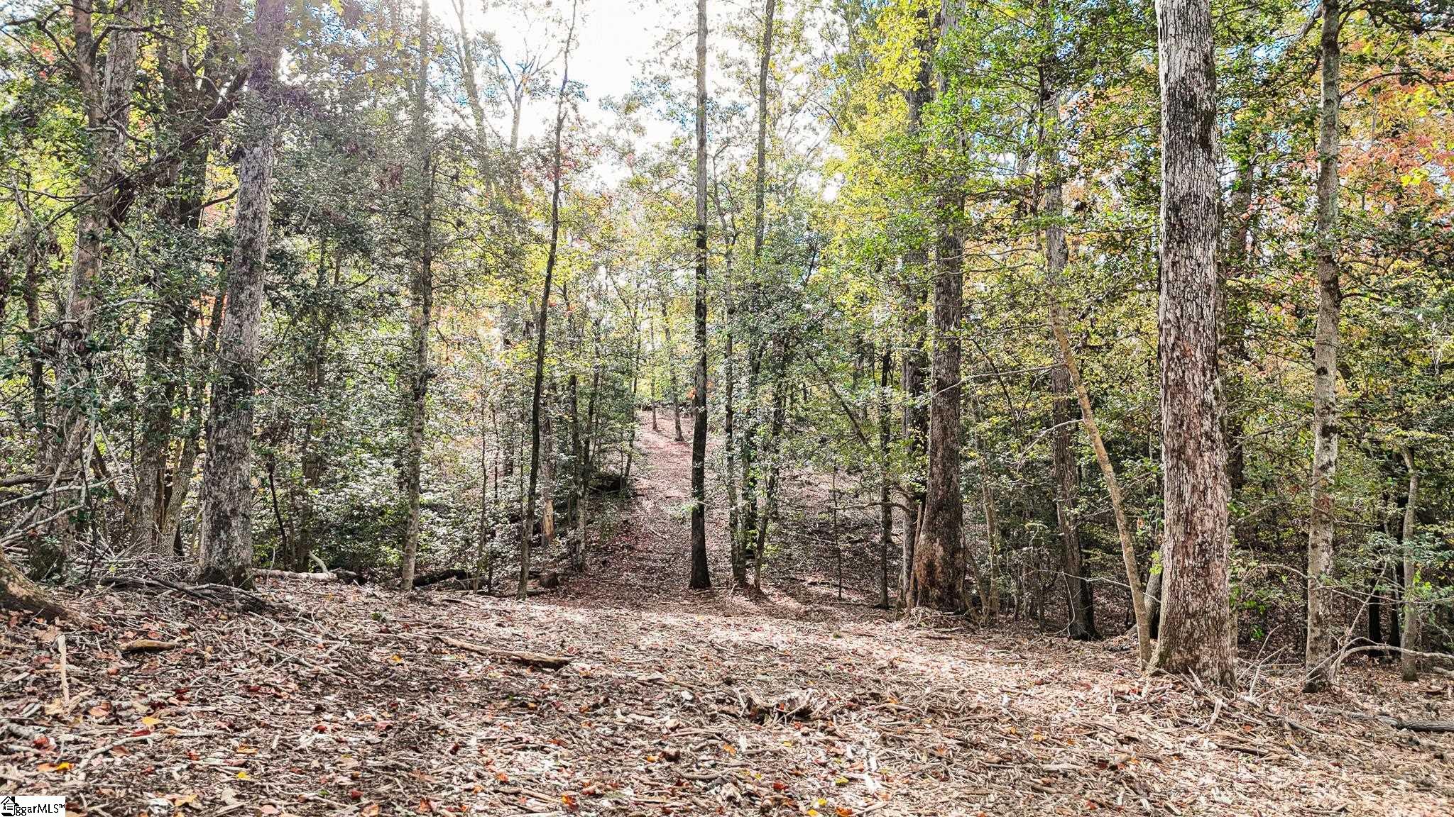 890 Old Hundred Road Pelzer, SC 29669 - Photo 6 of 23 Gallery Image 6