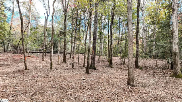 $400,000 | 890 Old Hundred Road, Pelzer, SC 29669