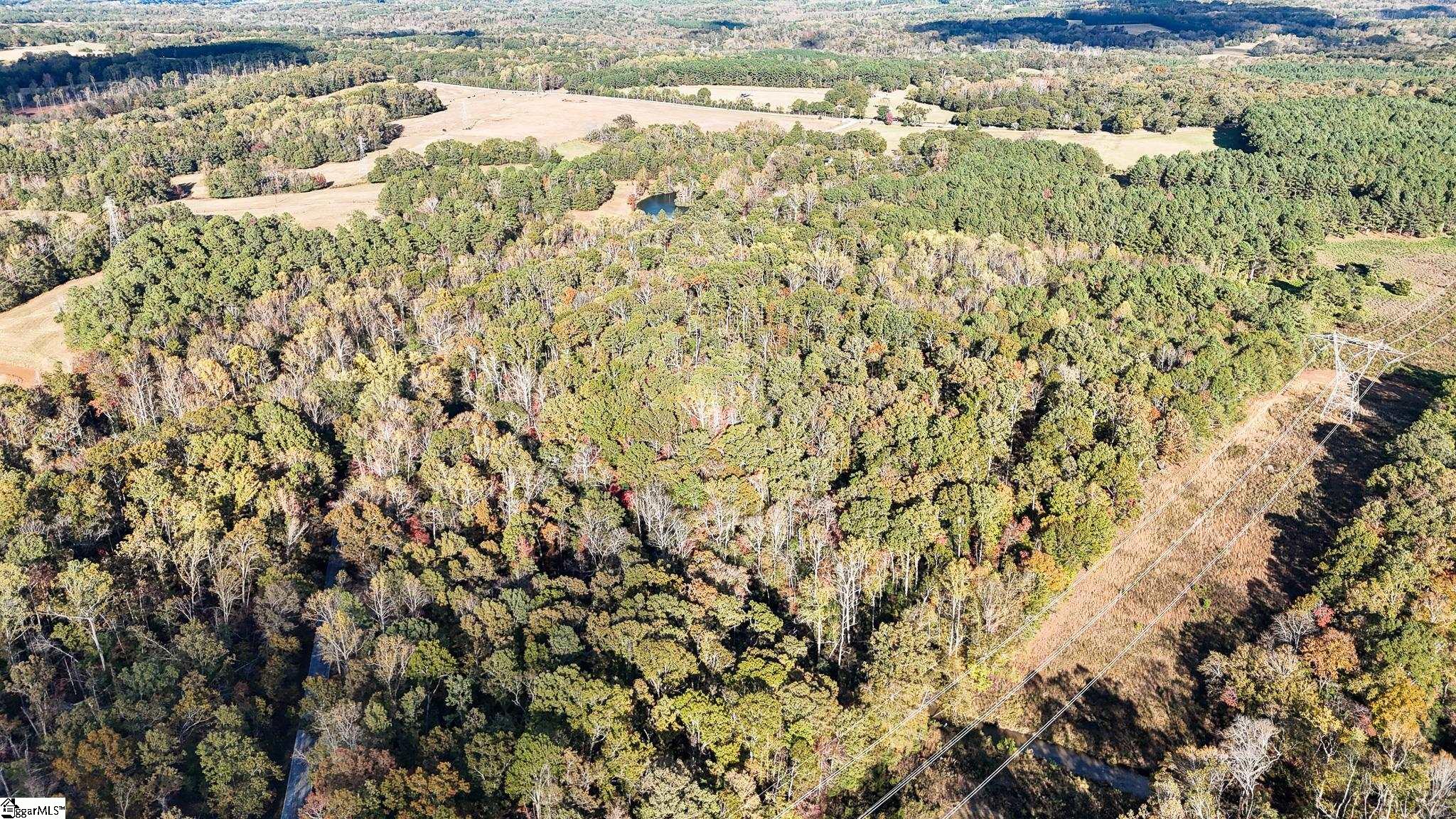 890 Old Hundred Road Pelzer, SC 29669 - Photo 10 of 23 Gallery Image 10