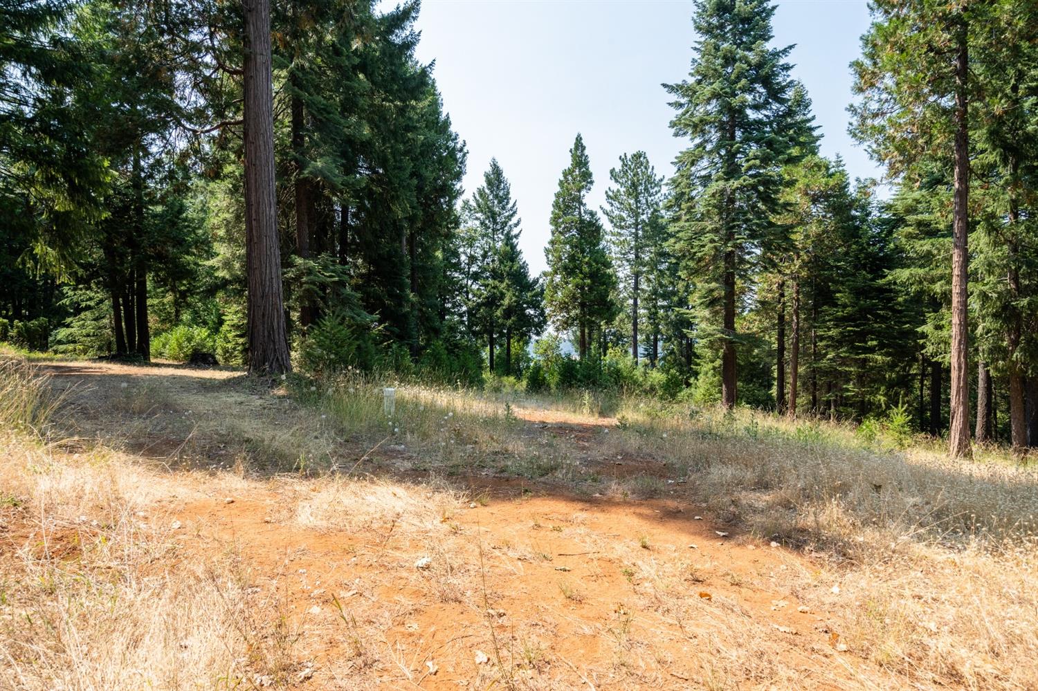 13518 Quaker Hill Cross Road Nevada City, CA 95959 - Photo 12 of 30 a view of a yard with a tree