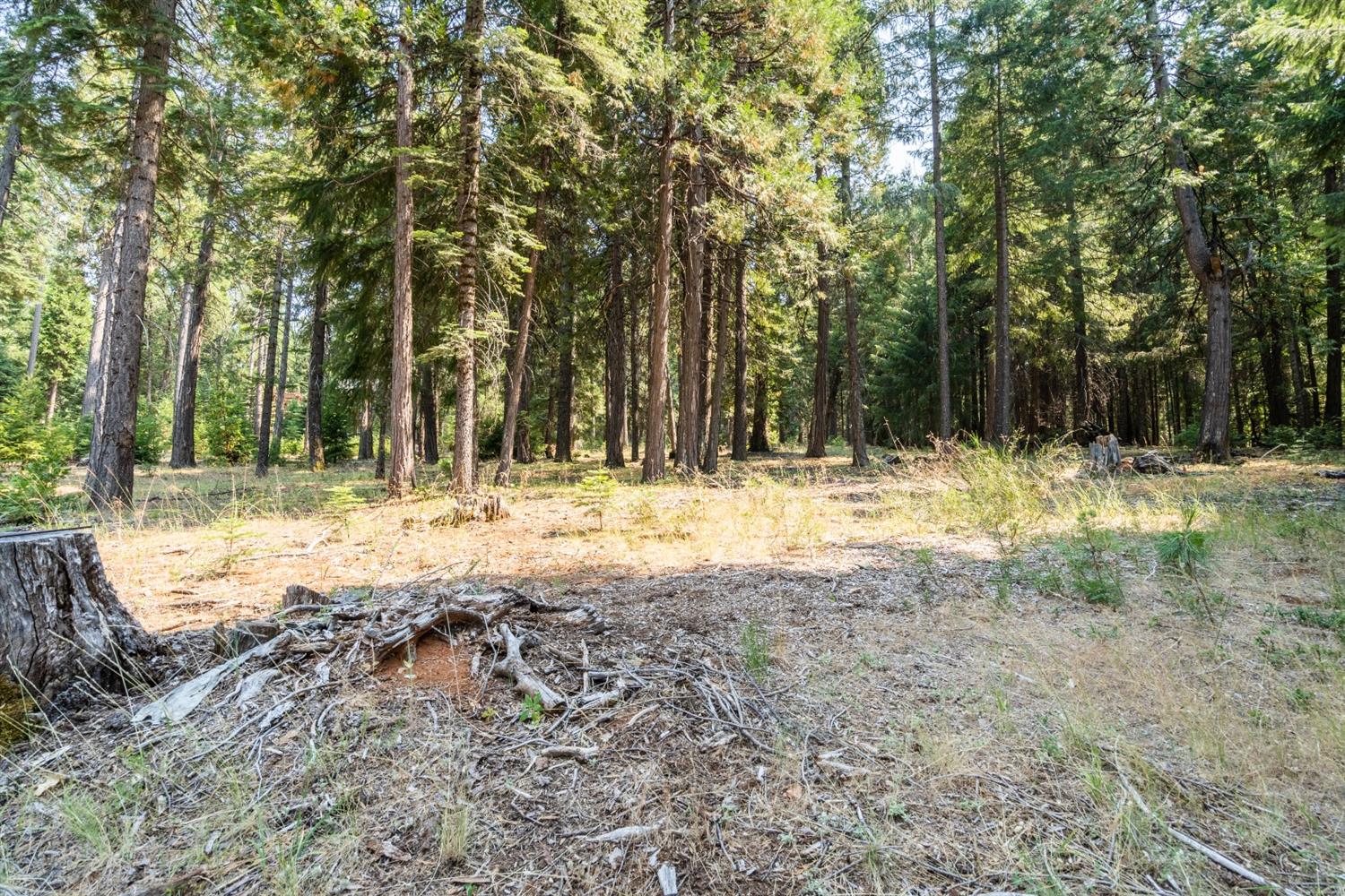 13518 Quaker Hill Cross Road Nevada City, CA 95959 - Photo 13 of 30 a view of covered with snow