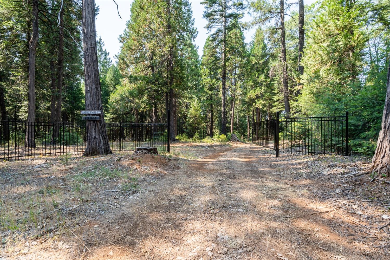 13518 Quaker Hill Cross Road Nevada City, CA 95959 - Photo 2 of 30 a view of outdoor space with trees