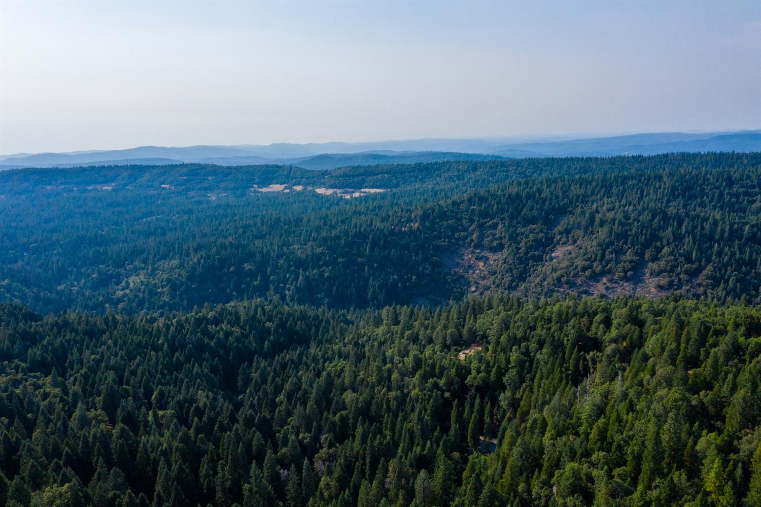 13518 Quaker Hill Cross Road Nevada City, CA 95959 - Photo 22 of 30 a view of a green field with lots of bushes