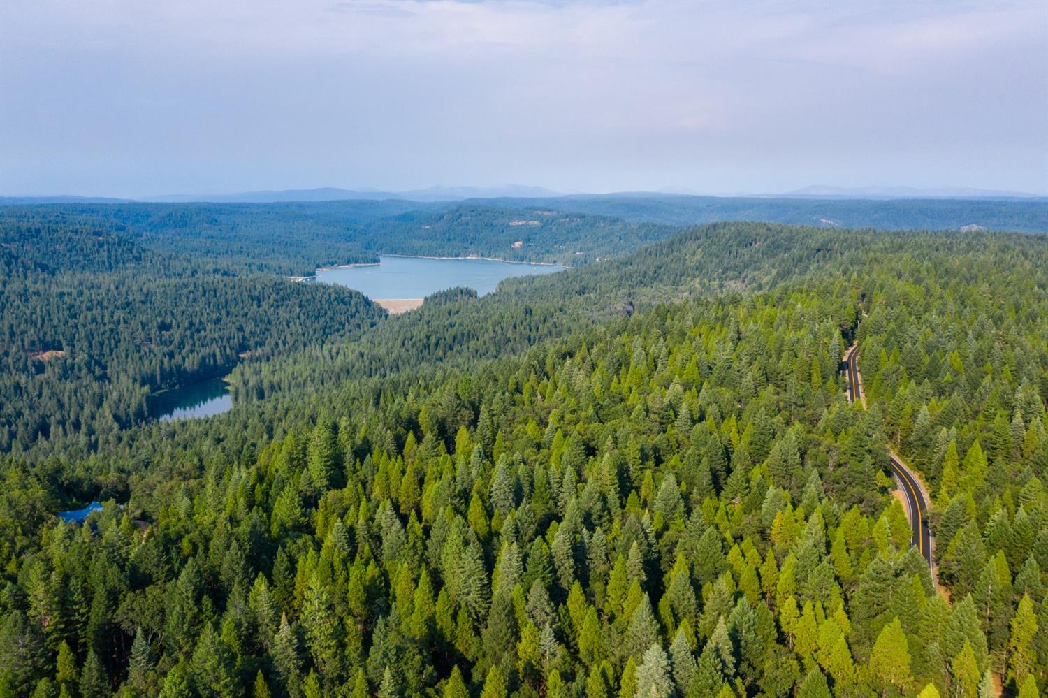 13518 Quaker Hill Cross Road Nevada City, CA 95959 - Photo 23 of 30 a view of a big yard with lots of green space and deers