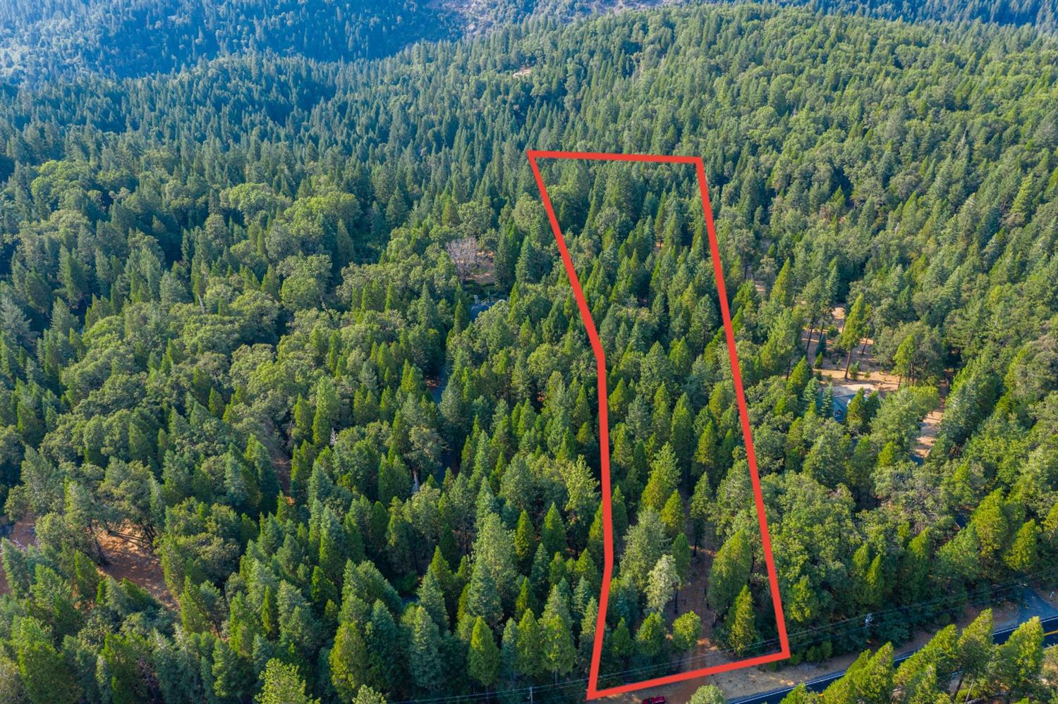 13518 Quaker Hill Cross Road Nevada City, CA 95959 - Photo 24 of 30 a close up of a plant