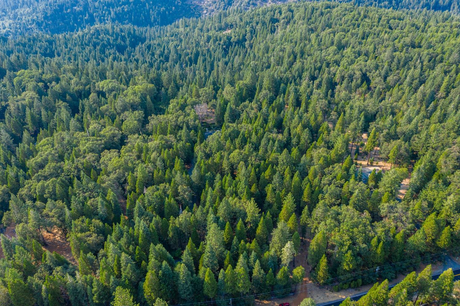 13518 Quaker Hill Cross Road Nevada City, CA 95959 - Photo 25 of 30 a view of a lush green forest