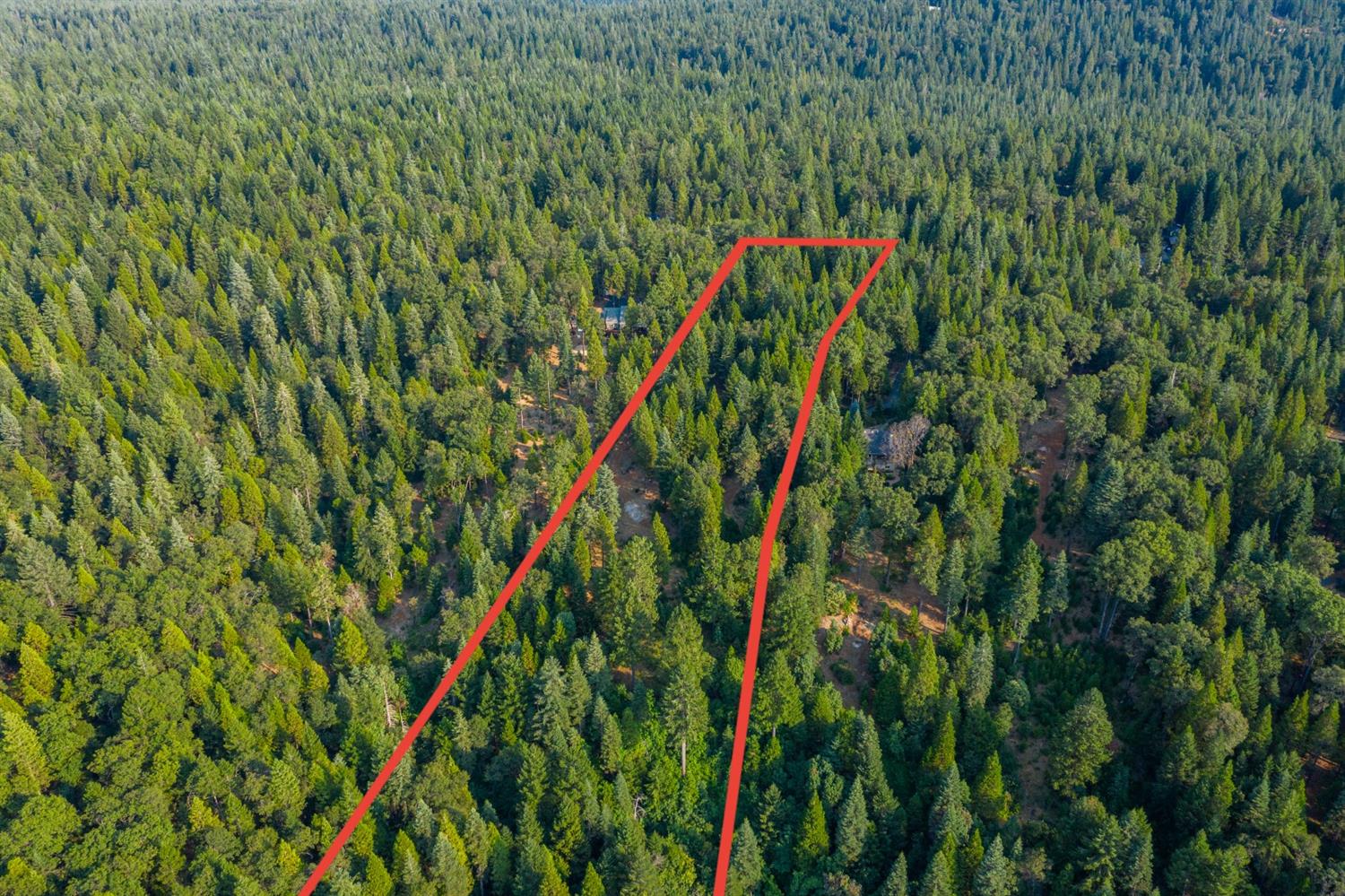 13518 Quaker Hill Cross Road Nevada City, CA 95959 - Photo 26 of 30 a view of a yard with a plant