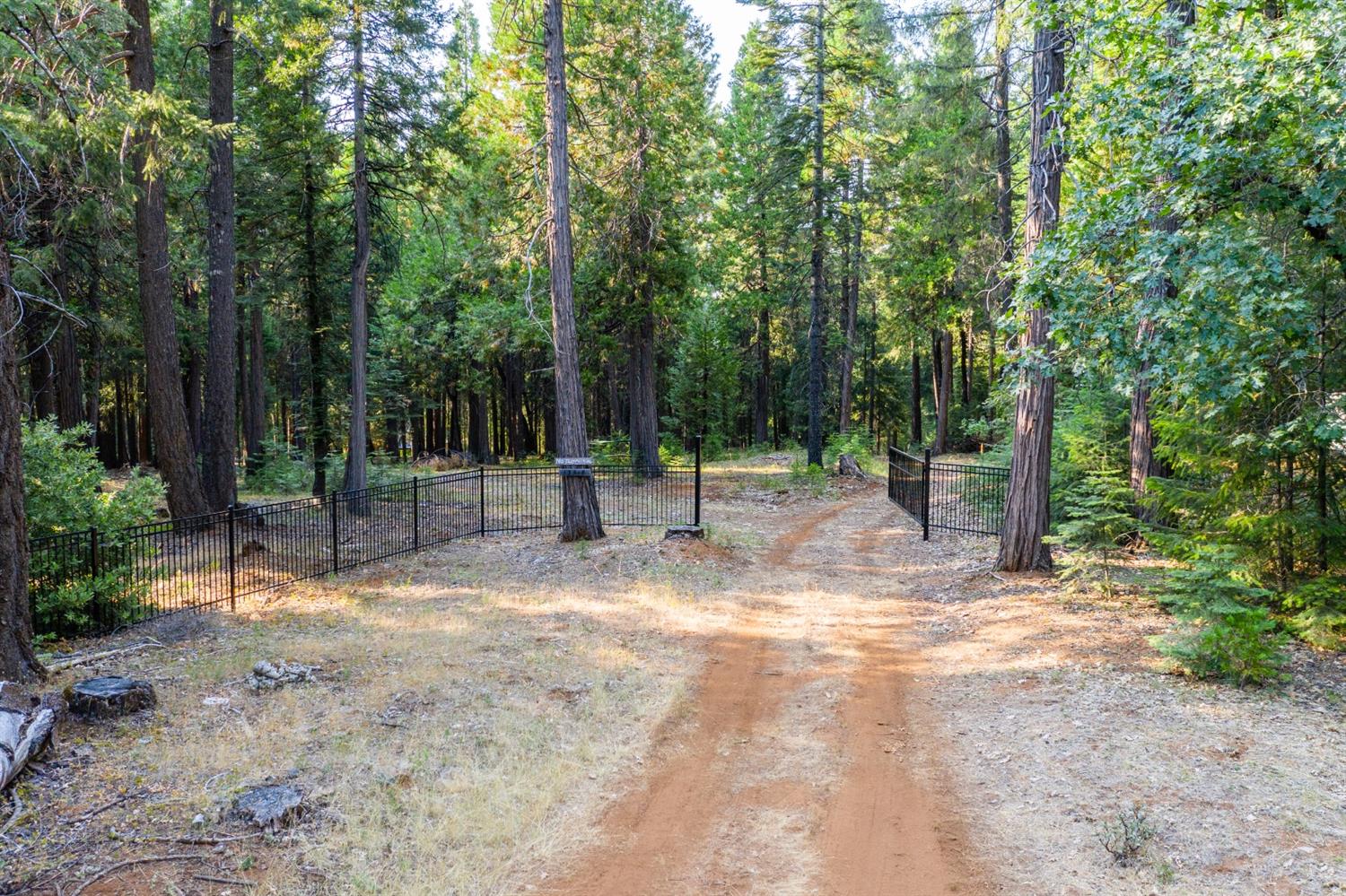 13518 Quaker Hill Cross Road Nevada City, CA 95959 - Photo 3 of 30 a view of outdoor space with trees