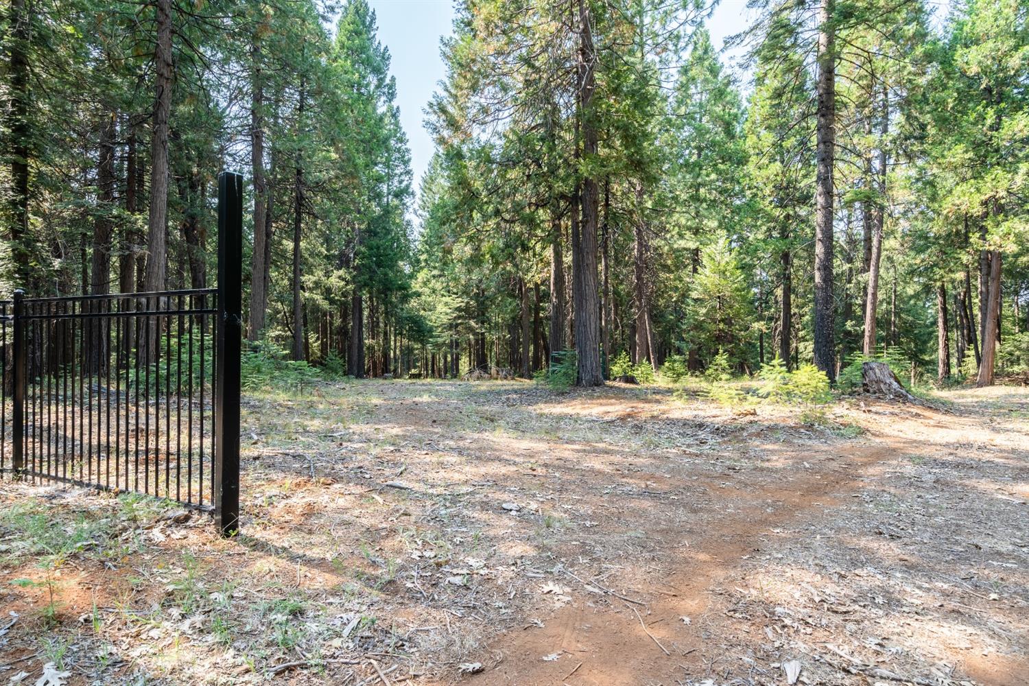 13518 Quaker Hill Cross Road Nevada City, CA 95959 - Photo 4 of 30 a view of outdoor space with trees