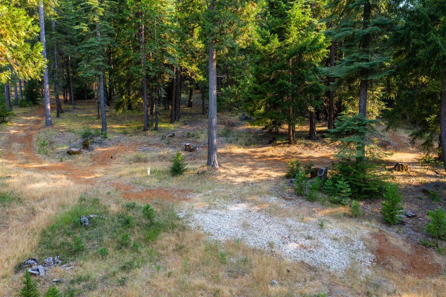 13518 Quaker Hill Cross Road Nevada City, CA 95959 - Photo 6 of 30 a view of a tree in the middle of a yard