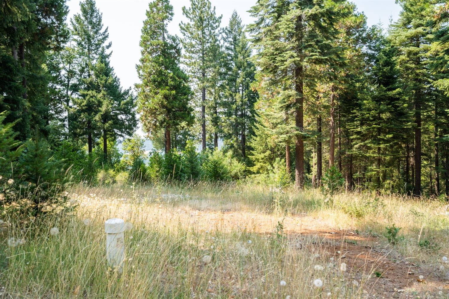 13518 Quaker Hill Cross Road Nevada City, CA 95959 - Photo 10 of 30