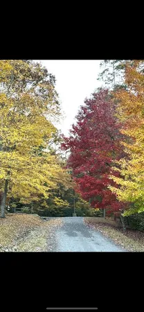 a view of an ocean and beach