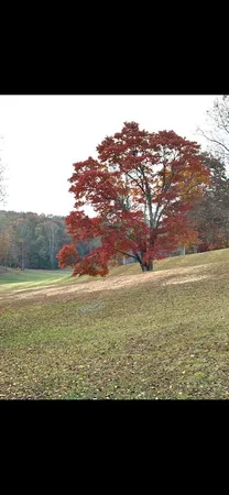 a open area with a lake view