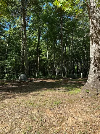a view of a chair and table in the backyard