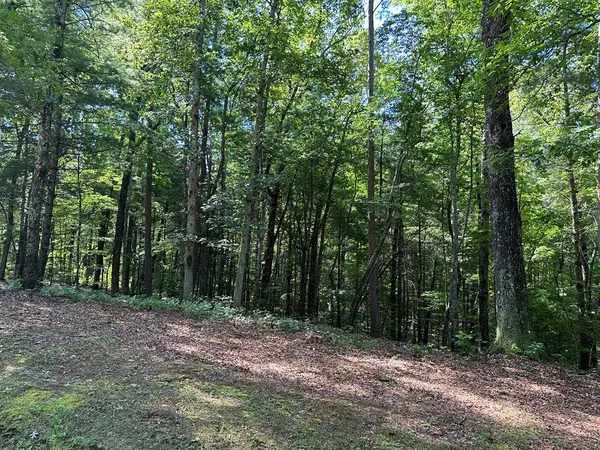 a big yard with lots of green space and deers