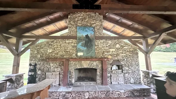 a view of a forest that has large trees