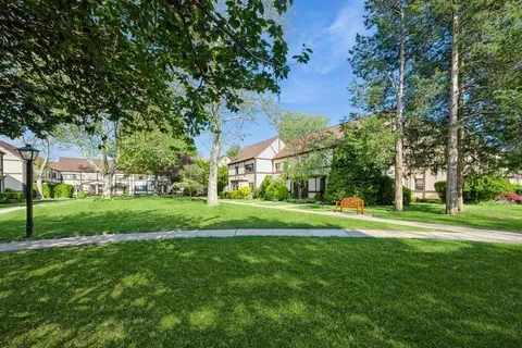 a view of a big yard next to a large trees