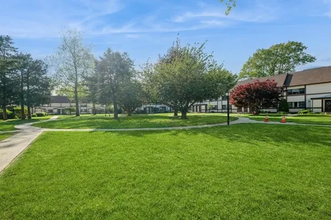 a view of a park with tree s