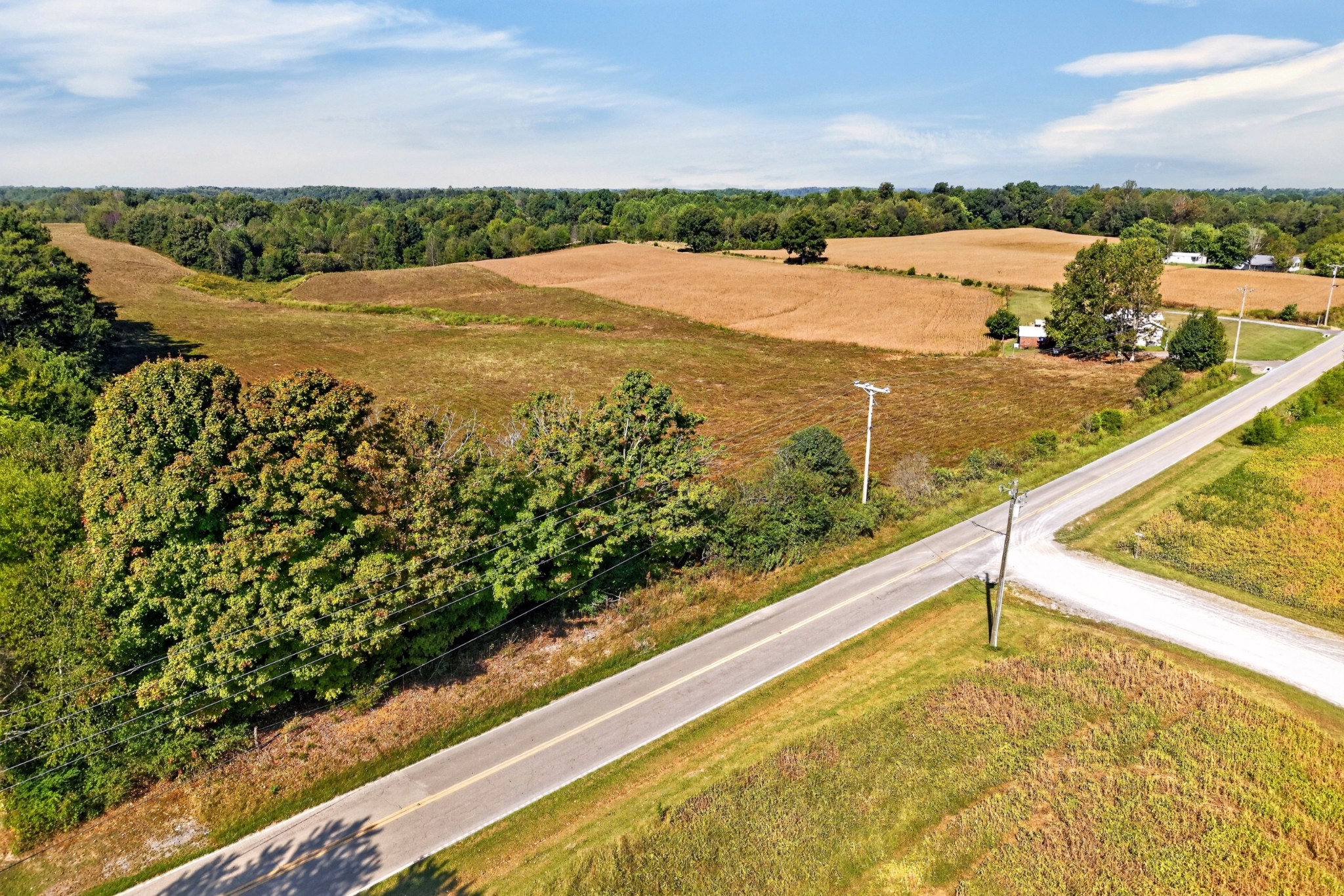 0 New Home Road Smithville, TN 37166 - Photo 8 of 17 Gallery Image 8