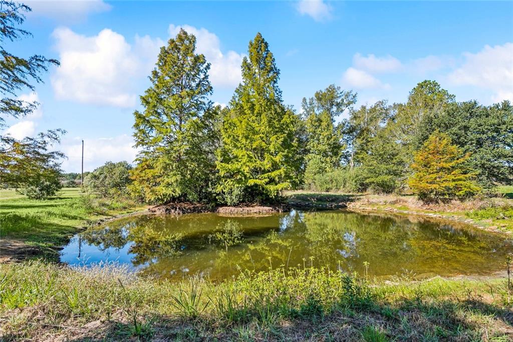 51293 Turnpike Road Folsom, LA 70437 - Photo 25 of 35