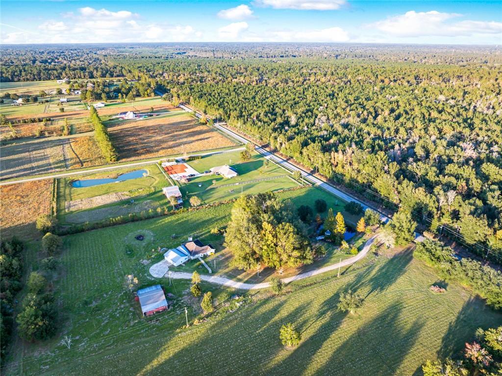 51293 Turnpike Road Folsom, LA 70437 - Photo 31 of 35