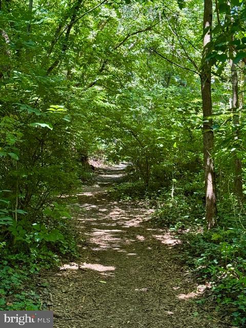 4405 Sedgwick Road Baltimore, MD 21210 - Photo 34 of 41 Stony Run Trail