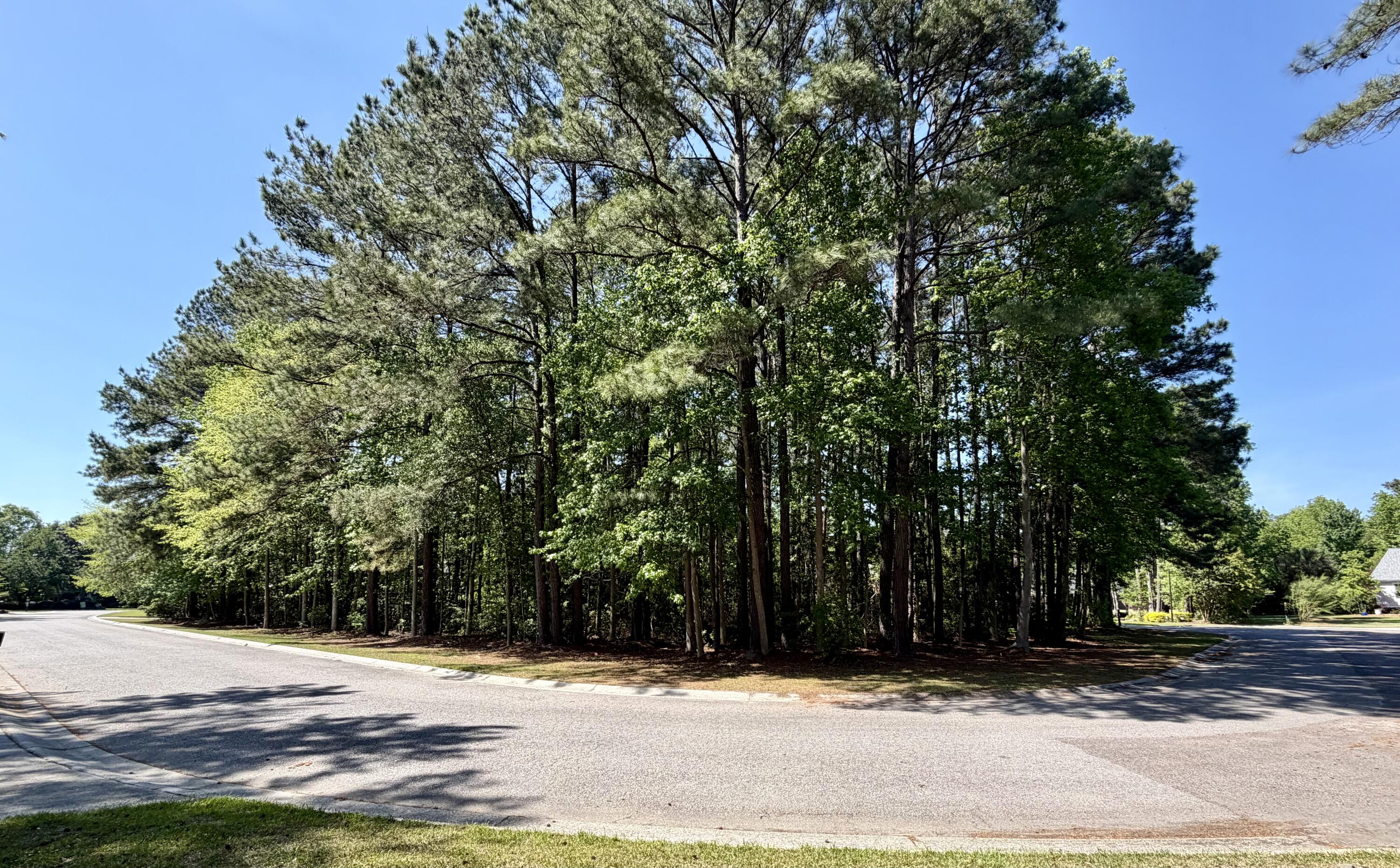 2008 Shoreside Court Pinopolis, SC 29469 - Photo 2 of 3 IMG_3320