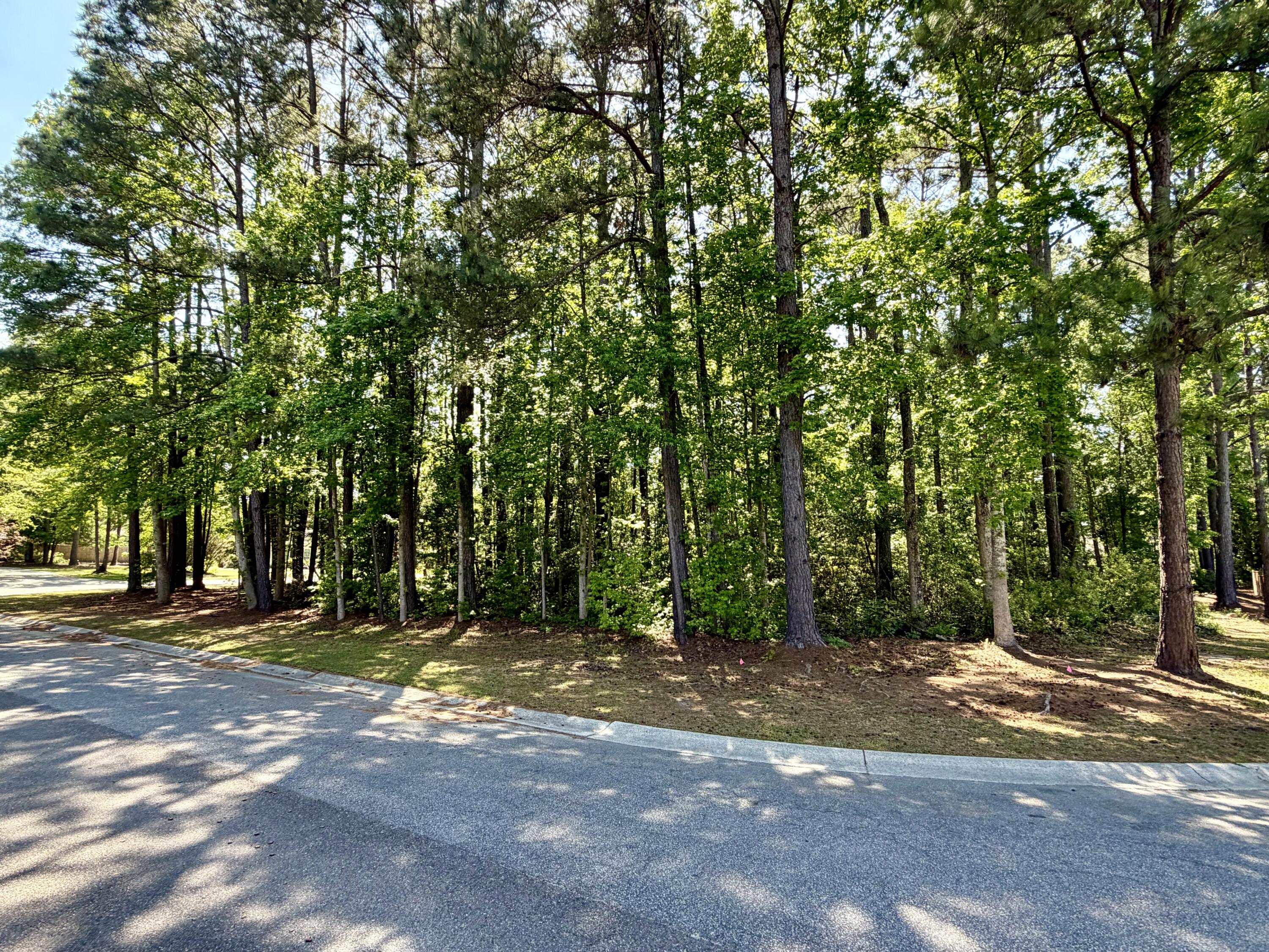 2008 Shoreside Court Pinopolis, SC 29469 - Photo 3 of 3 IMG_3324