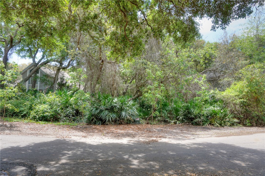 Lot 35 Wood Duck Road Fernandina Beach, FL 32034 - Photo 3 of 5 Gallery Image 3