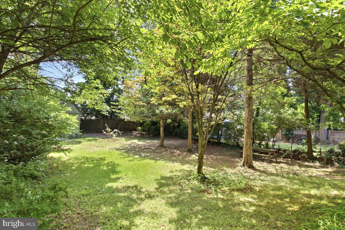8715 Geren Road Silver Spring, MD 20901 - Photo 32 of 45 Spacious Fenced Backyard