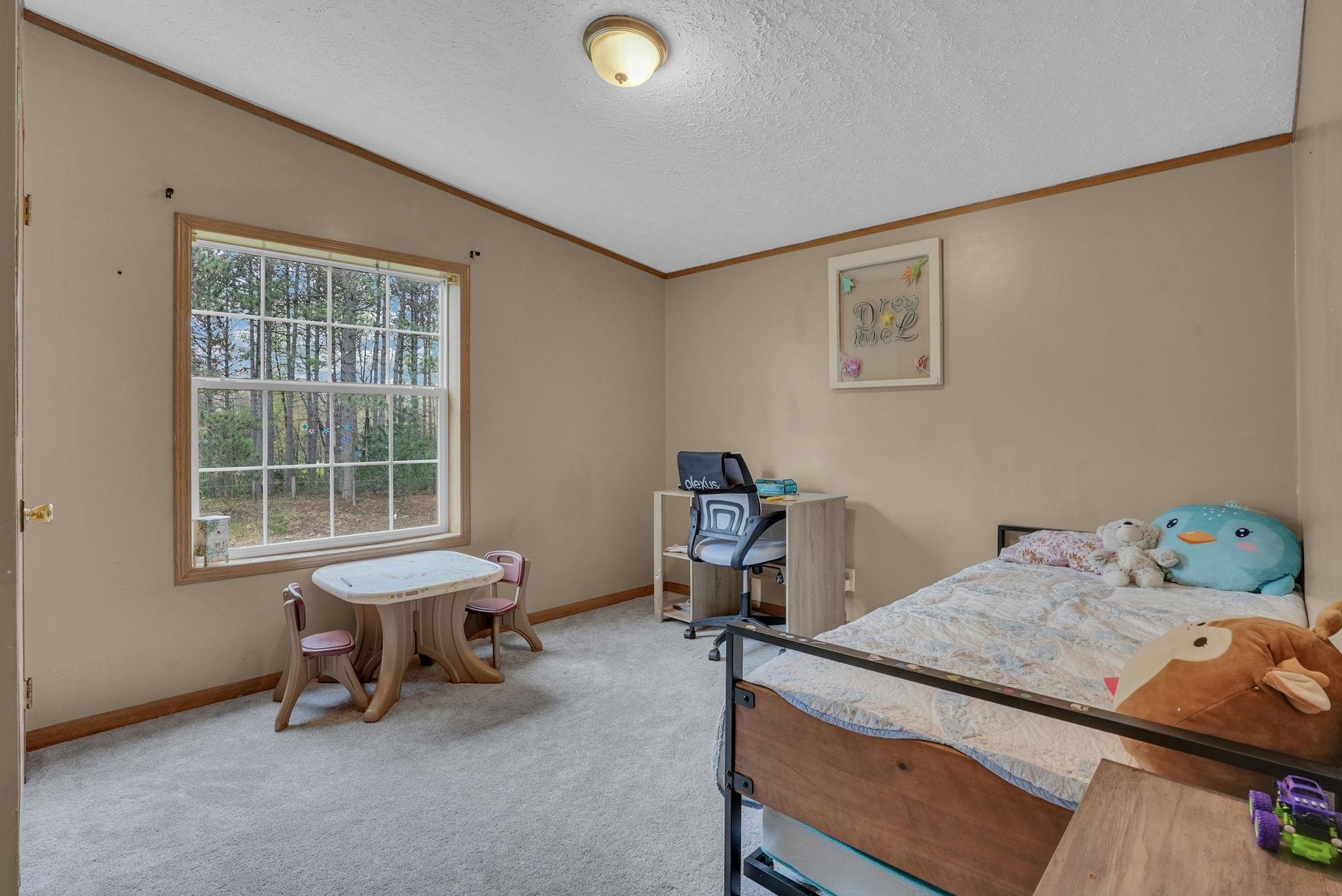 8765 East 10 Road Manton, MI 49663 - Photo 19 of 45