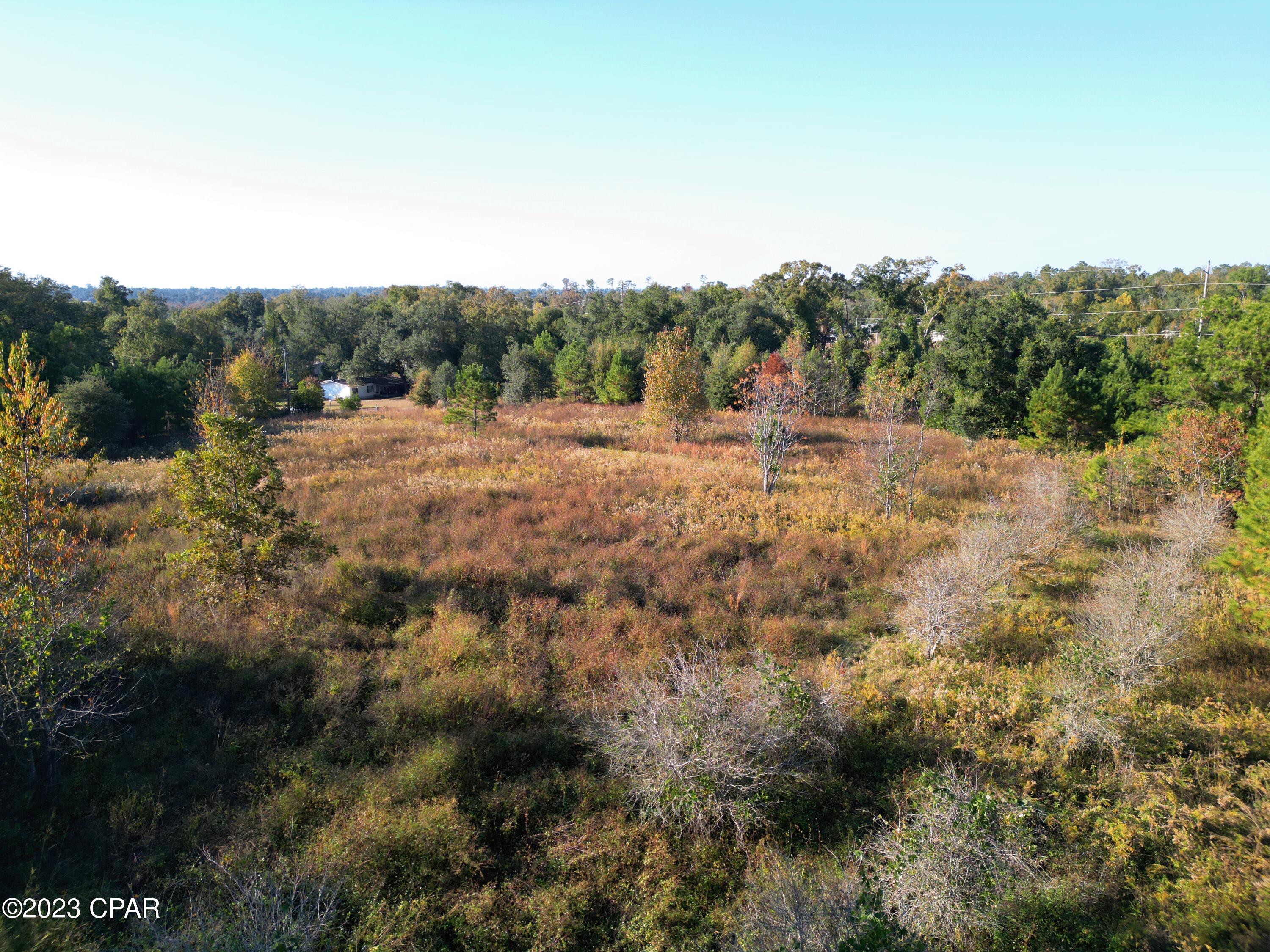 1 Gerald Street Sneads, FL 32460 - Photo 4 of 8