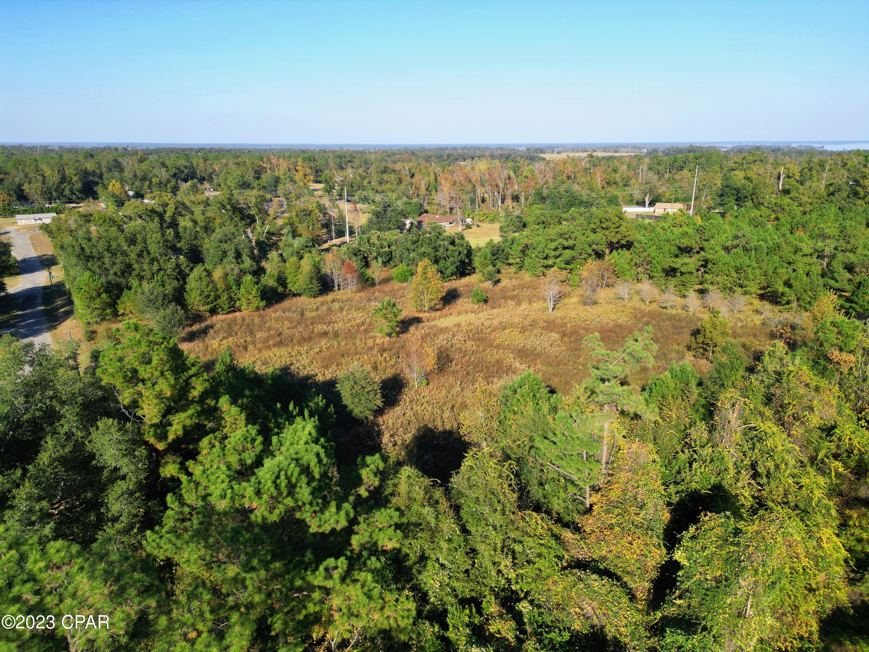 1 Gerald Street Sneads, FL 32460 - Photo 5 of 8