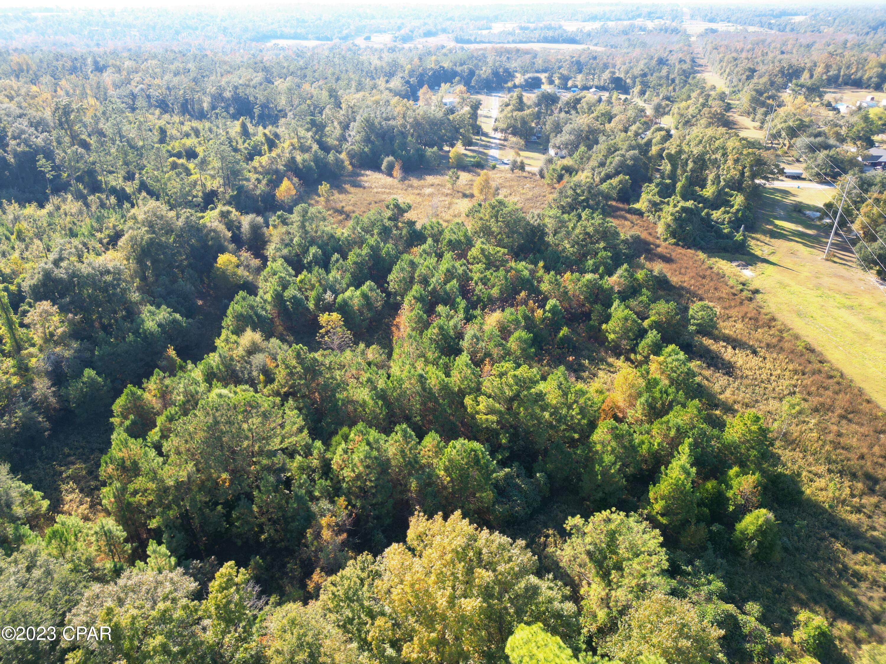 1 Gerald Street Sneads, FL 32460 - Photo 7 of 8