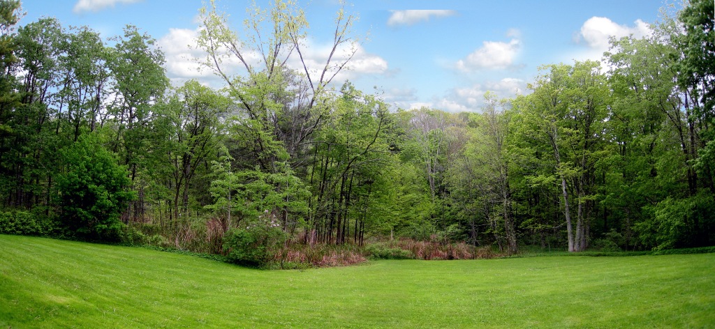 454 Main Road, Unit 8 Monterey, MA 01245 - Photo 2 of 22 a view of green field with trees in the background