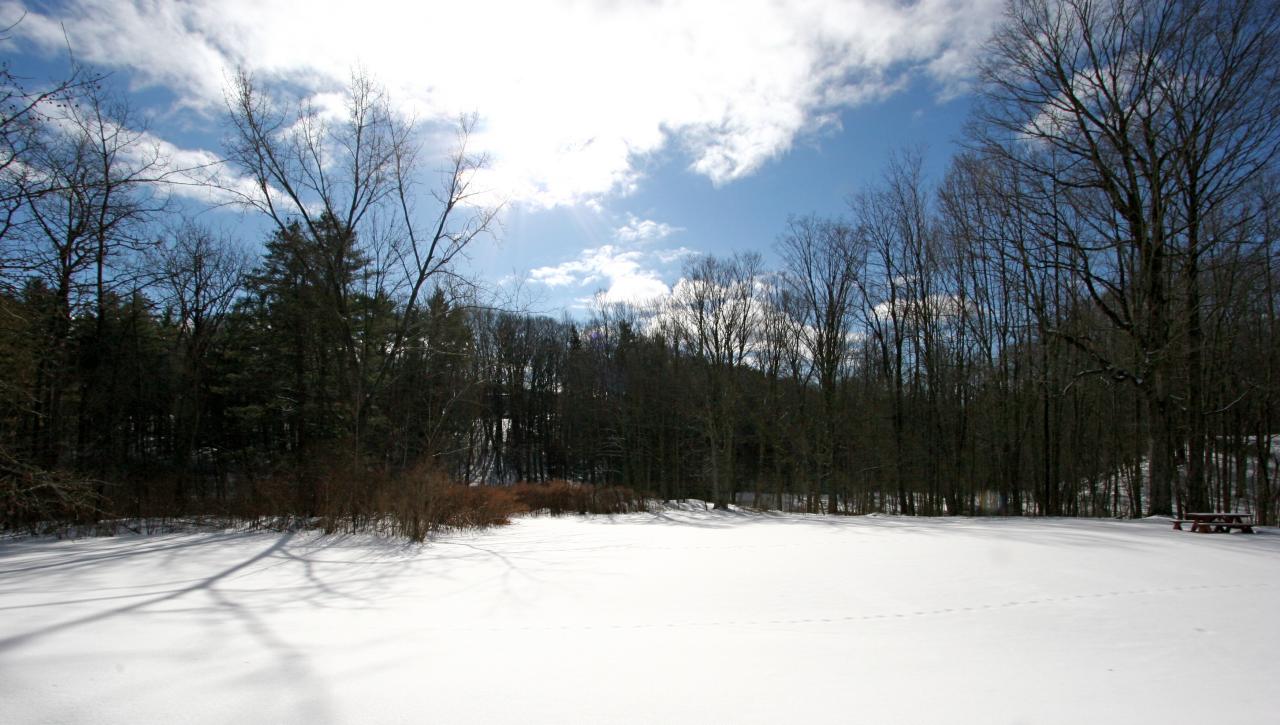 454 Main Road, Unit 8 Monterey, MA 01245 - Photo 5 of 22 a street view covered with snow in yard