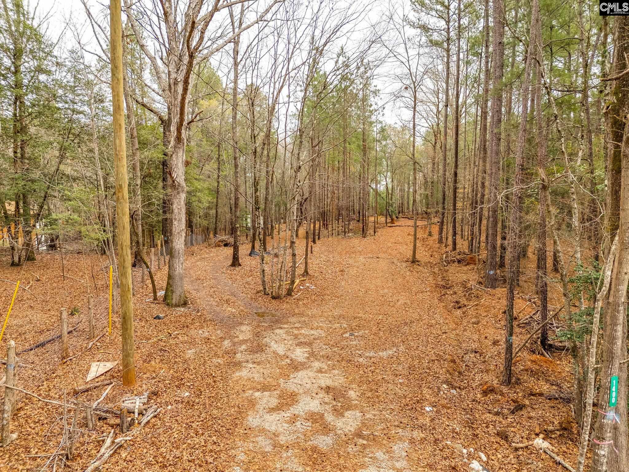 1400 State Rd S-40-944 Winnsboro, SC 29180 - Photo 10 of 11