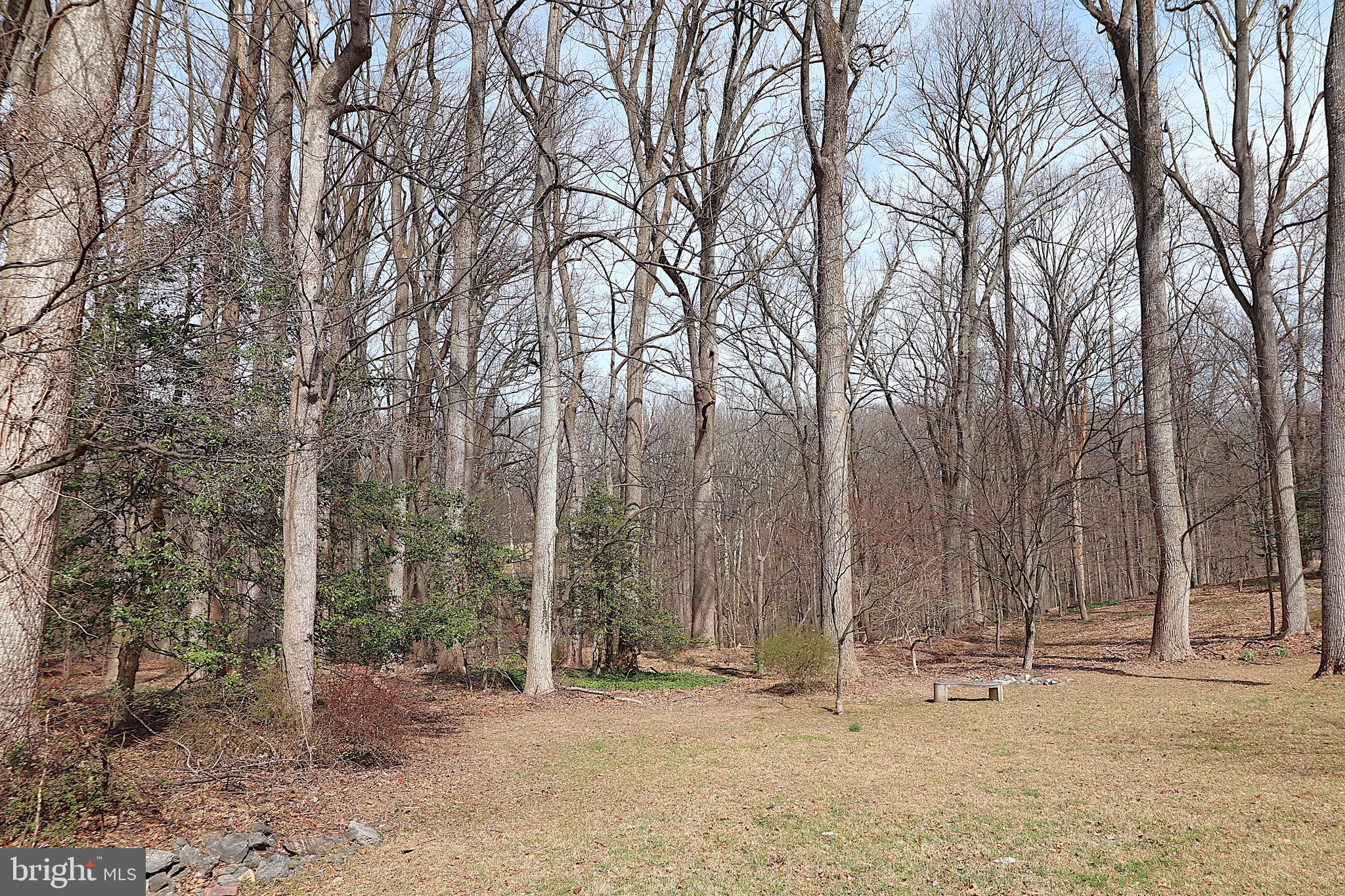 118 Quaint Acres Drive Silver Spring, MD 20904 - Photo 8 of 41 a backyard of a house with lots of trees