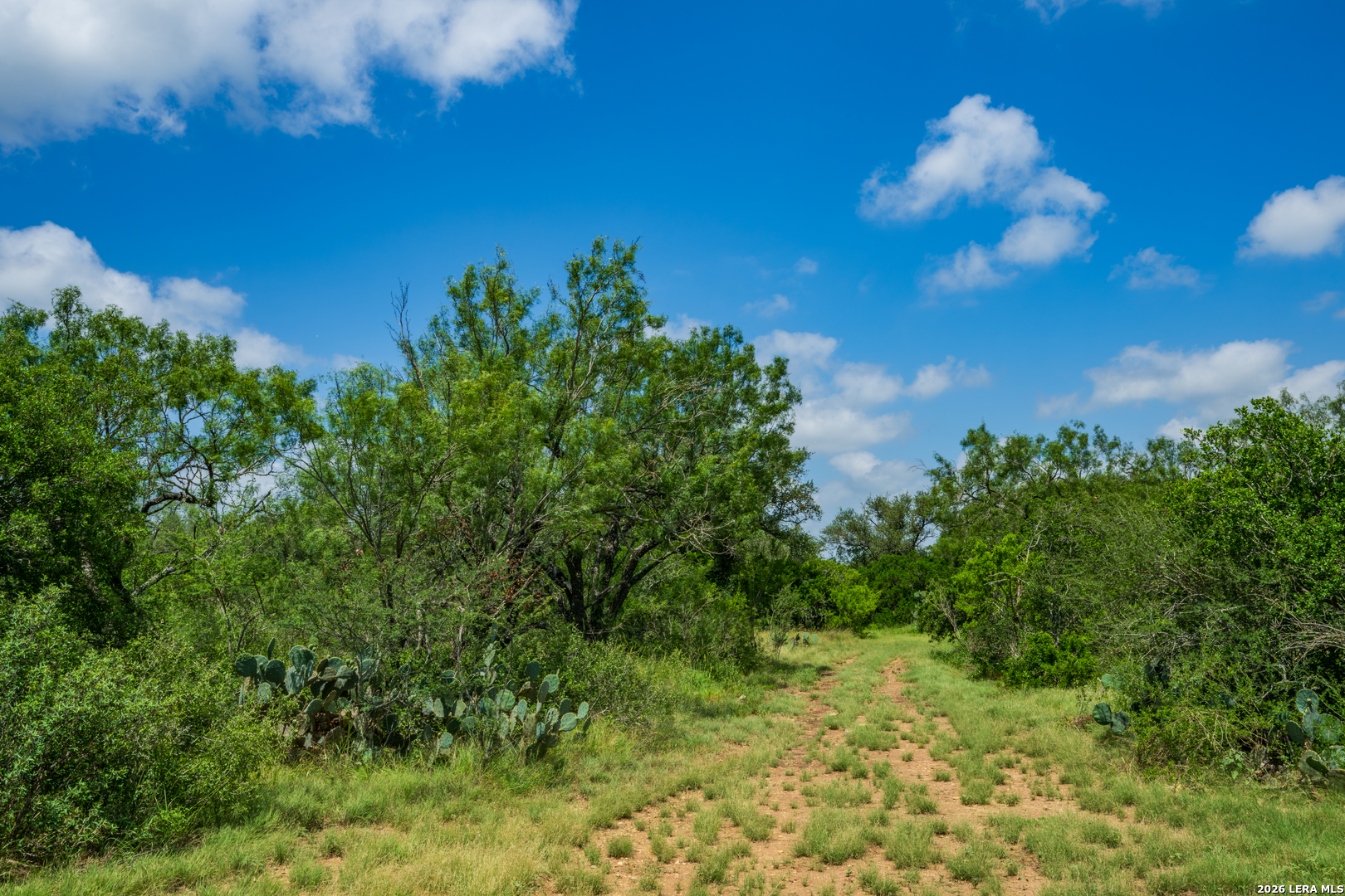 0 Miller Road Uvalde, TX 78801 - Photo 29 of 41