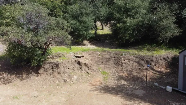 a view of a dry yard with trees