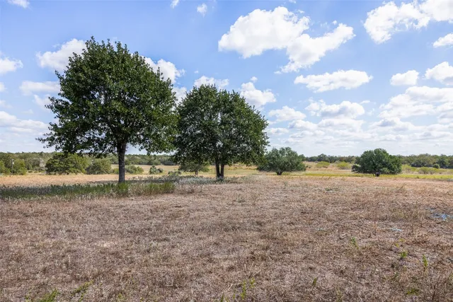 a view of dirt field with trees in background