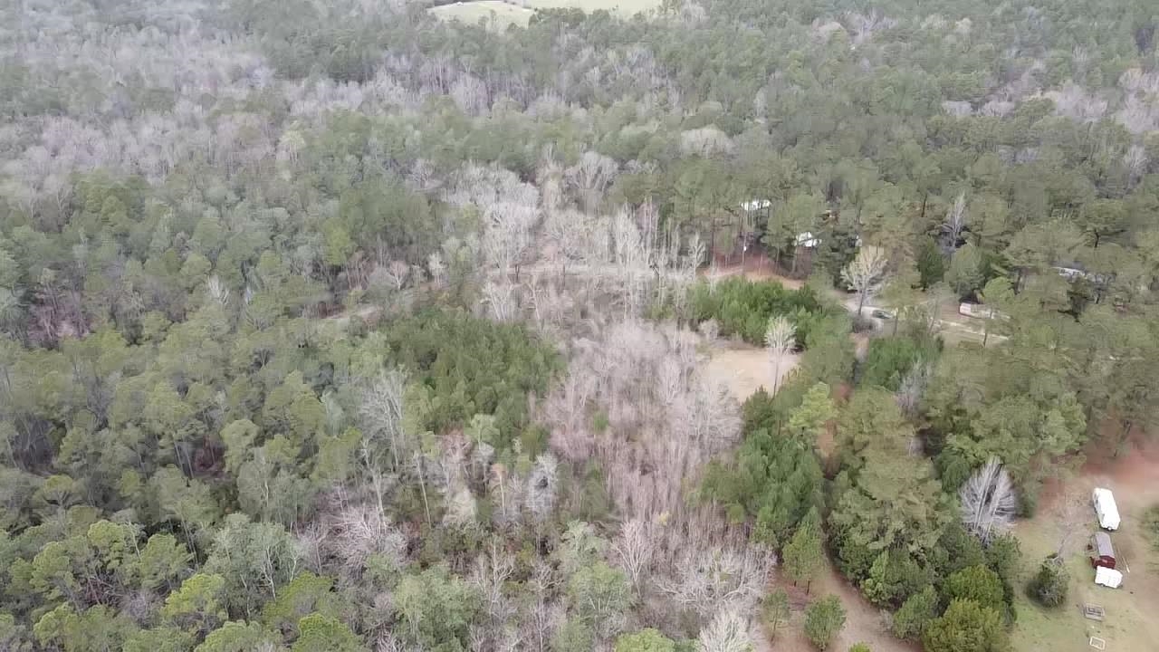 Scottish Lane Bay Minette, AL 36507 - Photo 17 of 25