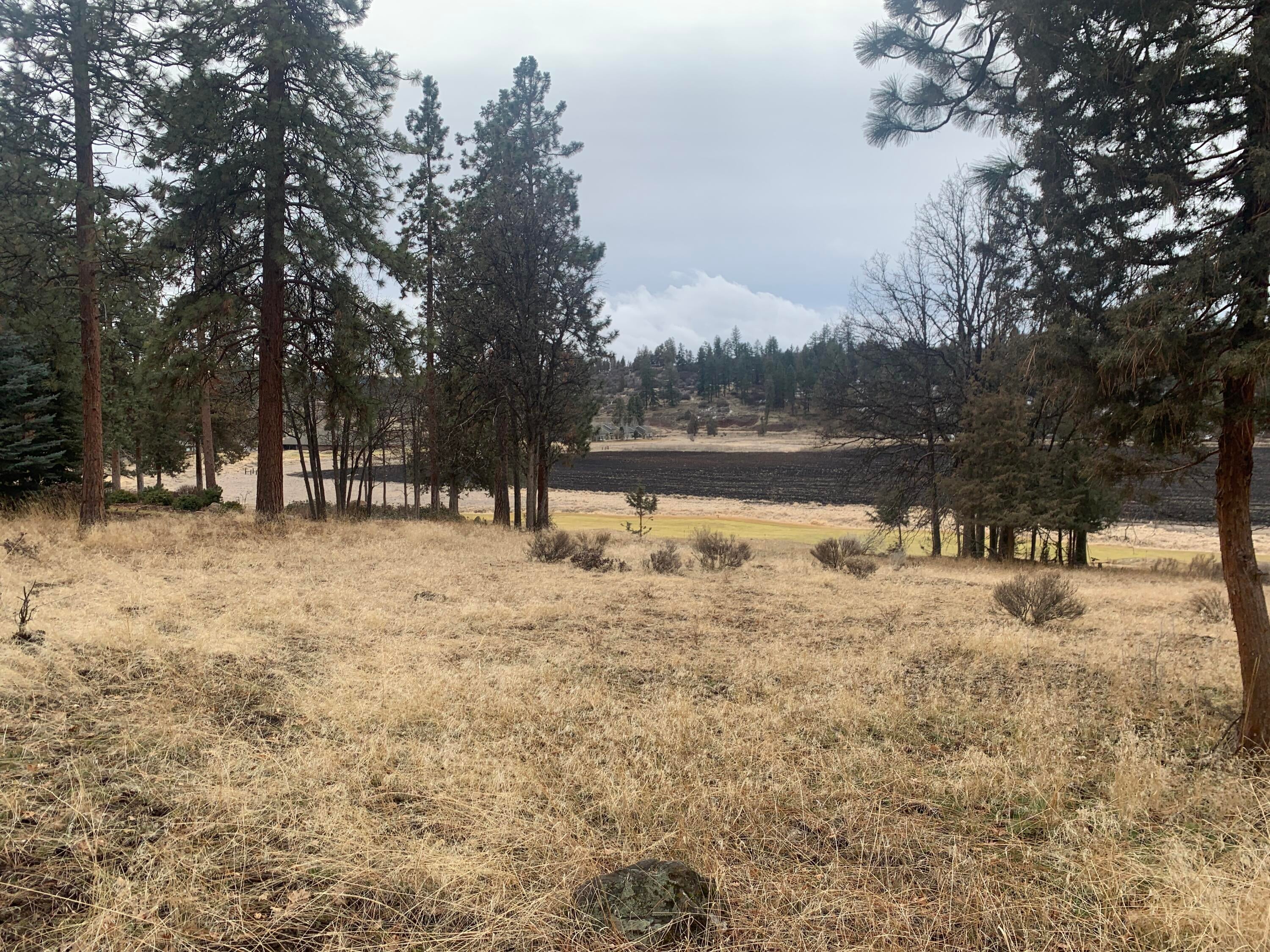 Lot 69 Merganser Road Klamath Falls, OR 97601 - Photo 10 of 20 IMG_9650