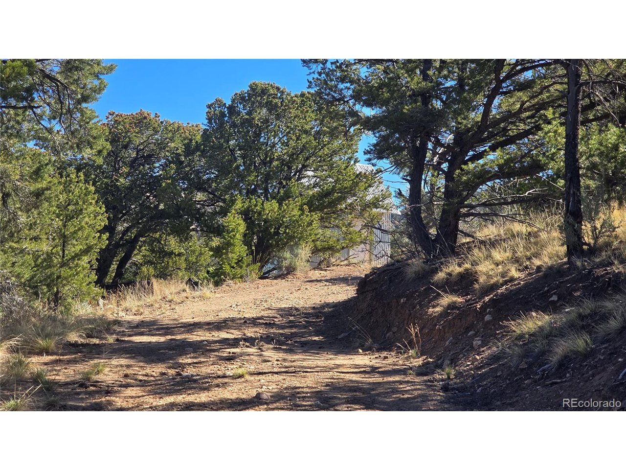 5996 Rod Road San Luis, CO 81152 - Photo 27 of 27 Gallery Image 27