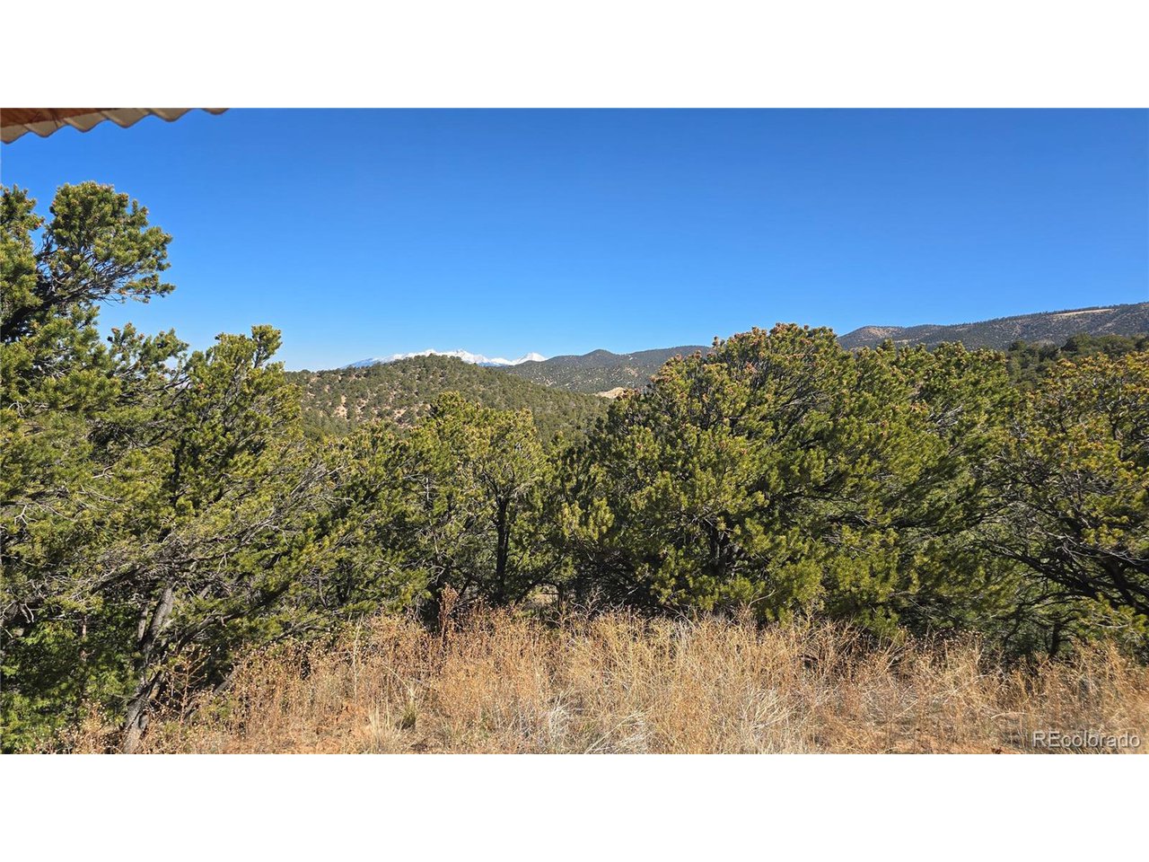 5996 Rod Road San Luis, CO 81152 - Photo 8 of 27 Gallery Image 8
