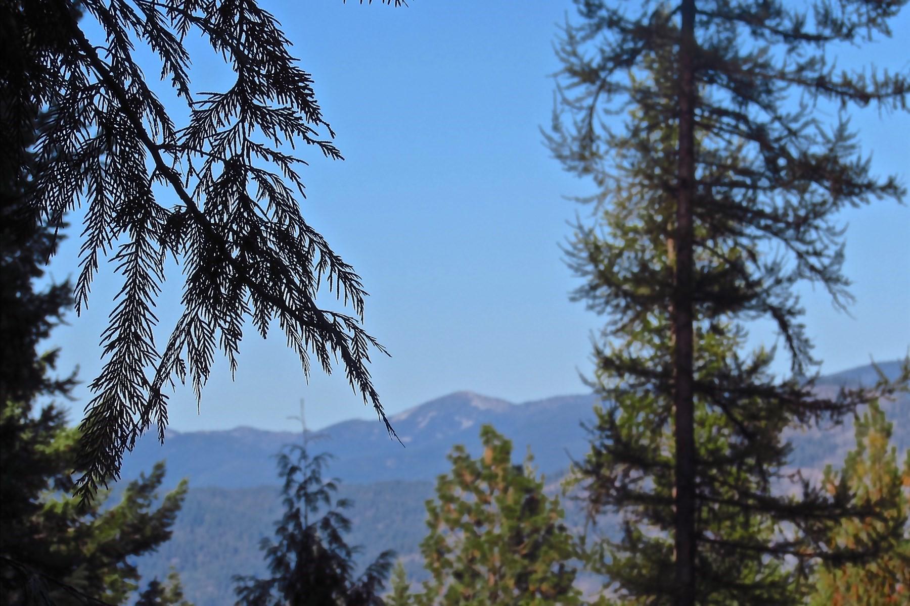 899 Less Traveled Road Sagle, ID 83860 - Photo 1 of 1 Build your Dream